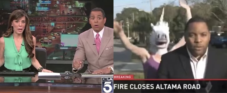 Best News Bloopers 2014 | Video