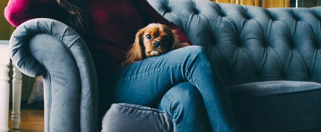 Can Pets Help With Depression and Anxiety?