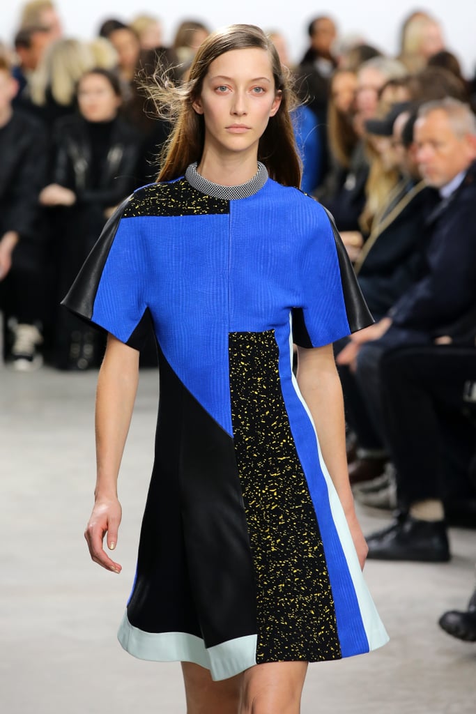Proenza Schouler Fall 2014
