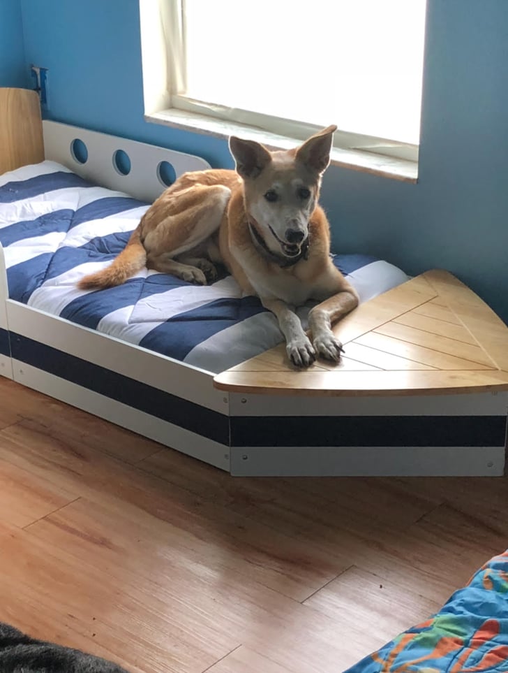 Mom Gives Rescue Dogs Their Own Beds POPSUGAR Family Photo 3