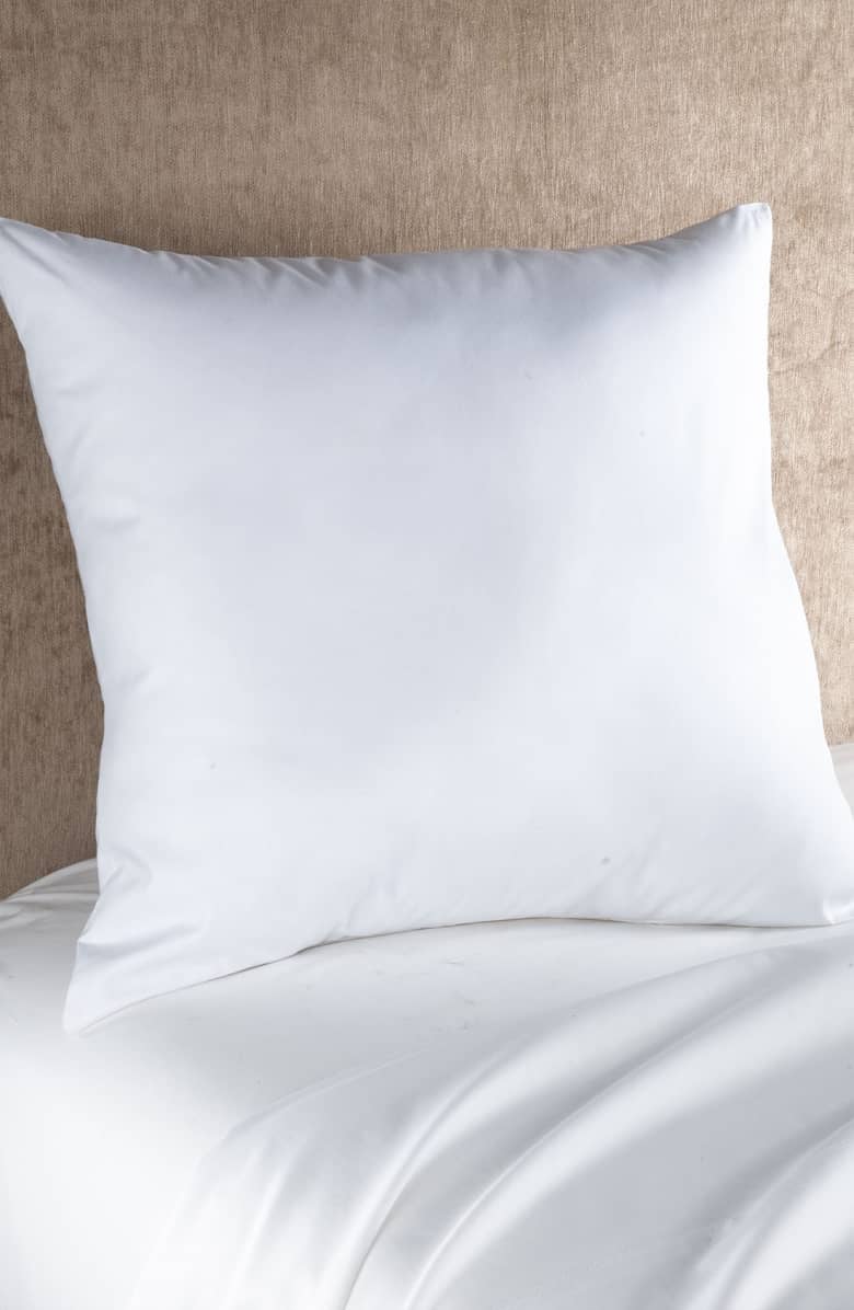 Nordstrom at Home Feather Fill Euro Pillow