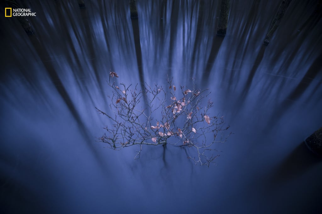Landscape, First Place — Struggle of life