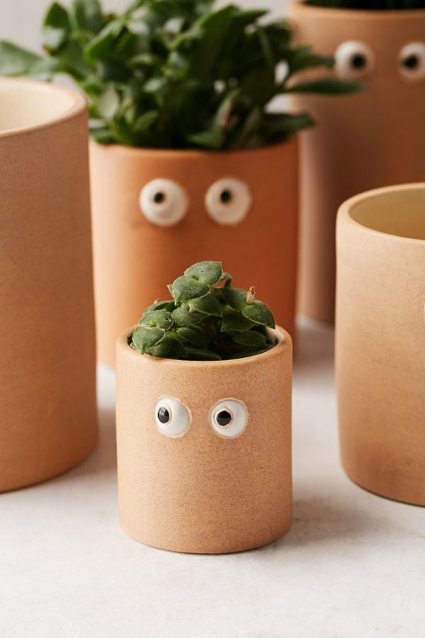 Henry Googly Eye Planter