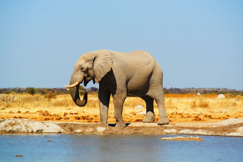 Botswana, Africa