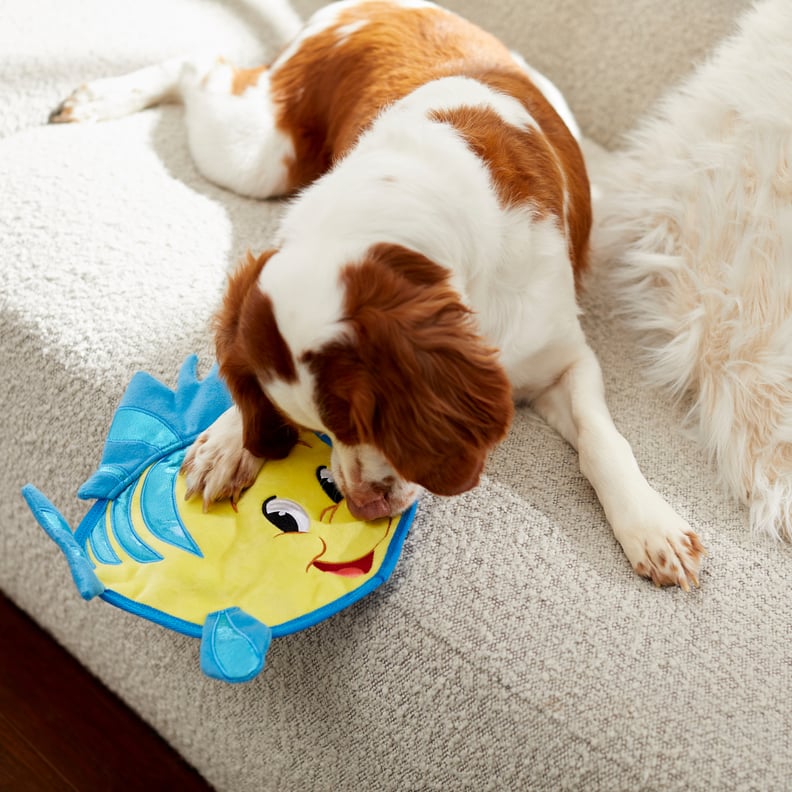 Flounder Flat Plush Squeaky Dog Toy