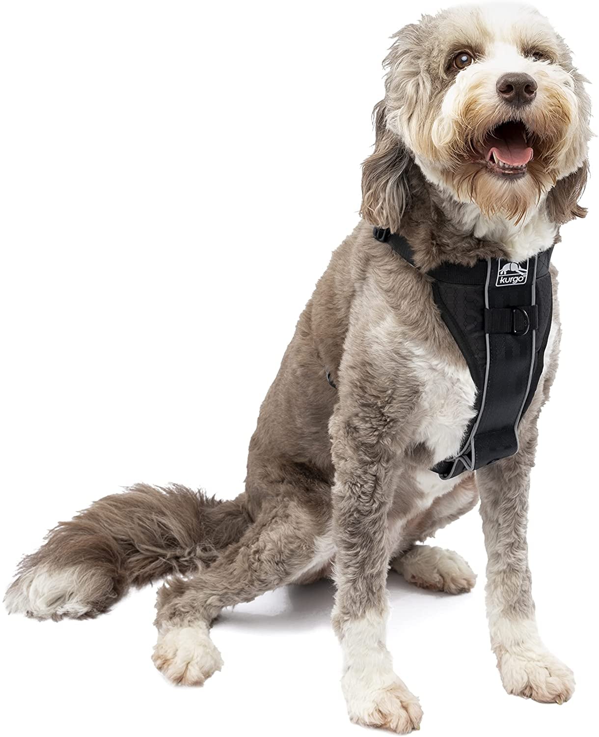 what is the best small dog harness