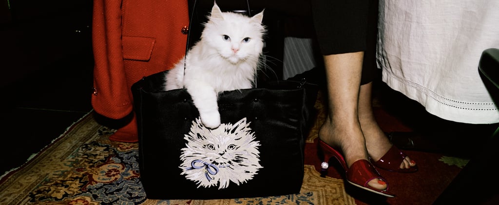 Shop the Kate Spade New York Holiday Collection | 2020