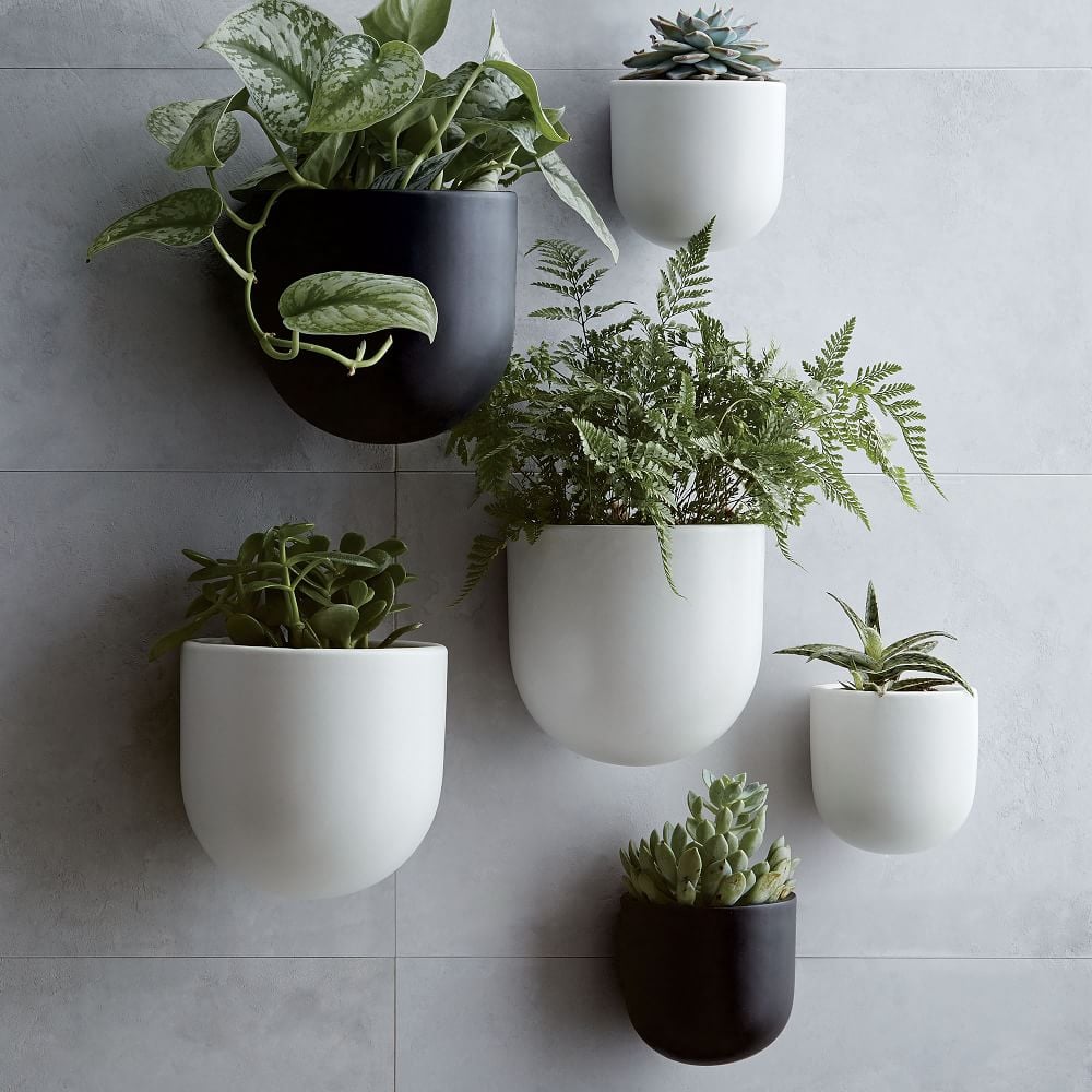 West Elm Ceramic Indoor/Outdoor Wallscape Planters