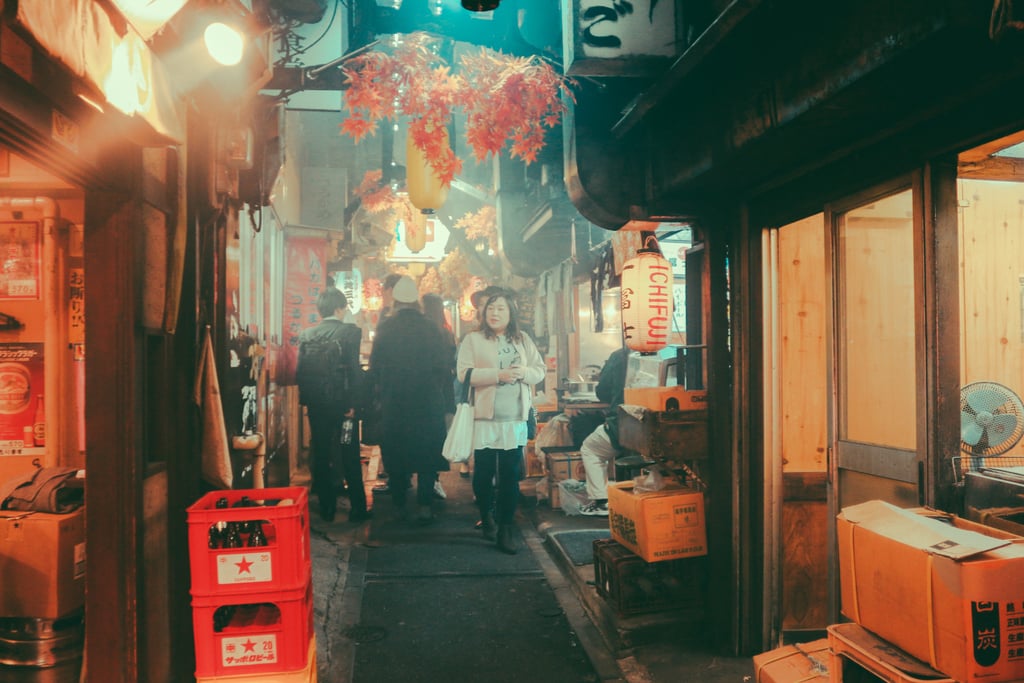 Omoide Yokocho (aka Piss Alley) Omoide Yokocho (aka Piss Alley)