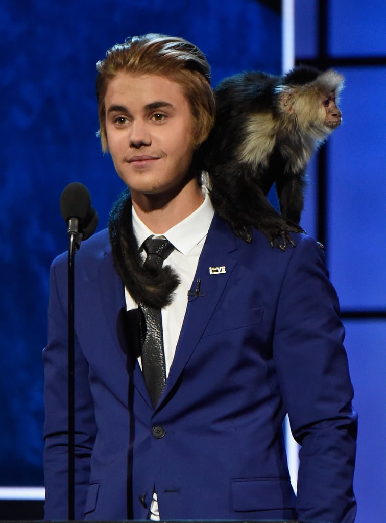 Justin Bieber Celebrities at Justin Bieber's Roast Pictures