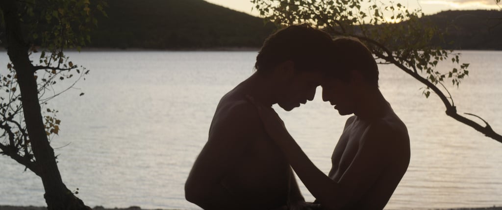 "Stranger by the Lake"