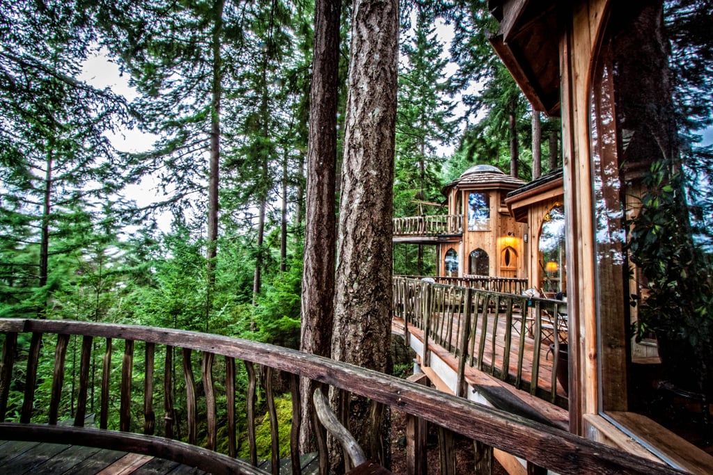 Tree House Rental in Washington POPSUGAR Smart Living Photo 4