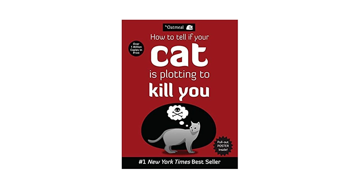 How To Tell If Your Cat Is Plotting To Kill You These 20 Gifts Are So Funny You Ll Need A Minute To Recover Popsugar Smart Living Photo 12