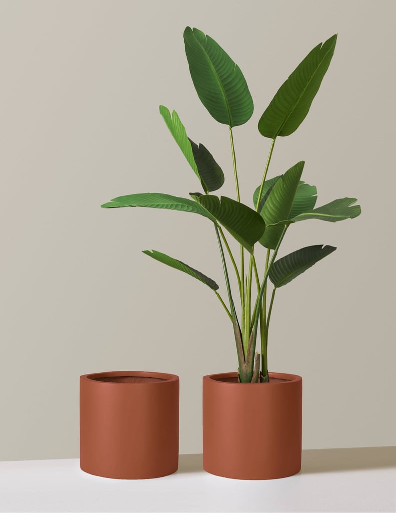 The Sill Burbank Fiberglass Floor Planter