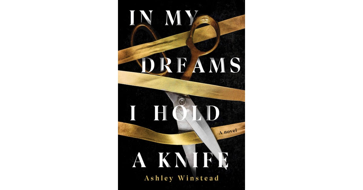 In My Dreams I Hold A Knife Take Flight With 15 Thrillers Just As Riveting As The Flight Attendant Popsugar Entertainment Photo 13