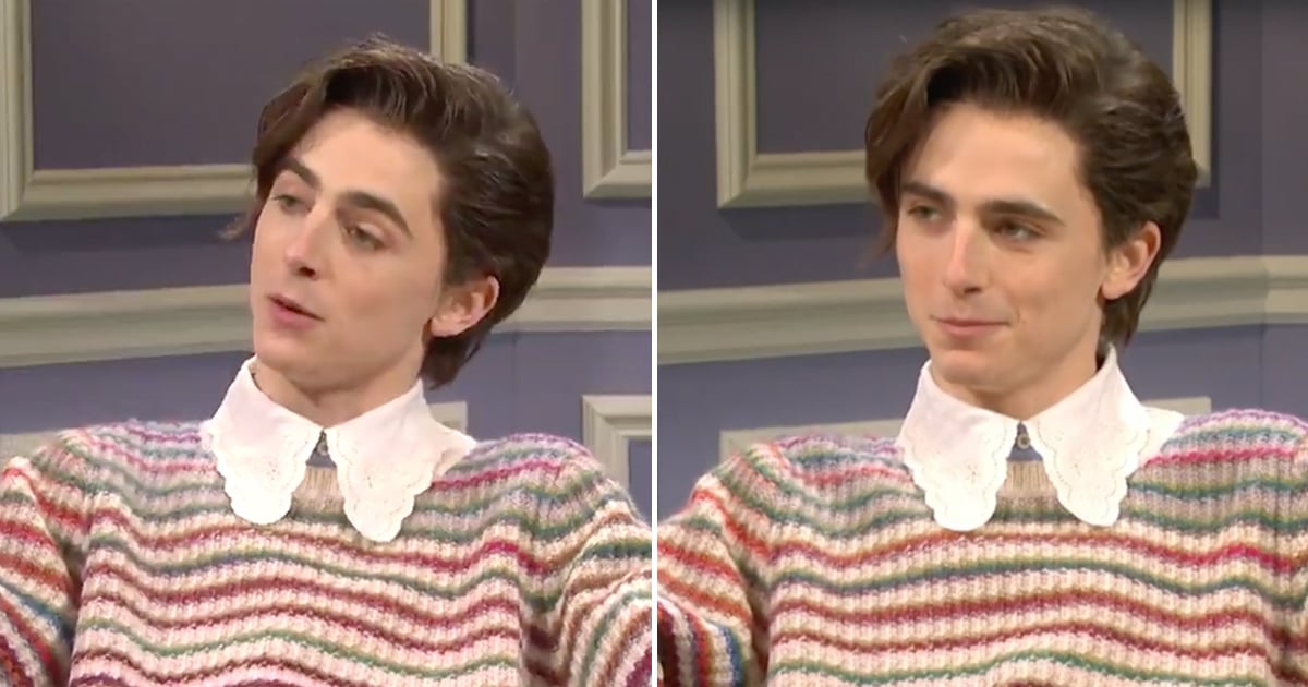 SNL Watch Timothée Chalamet as Harry Styles Video PS Entertainment