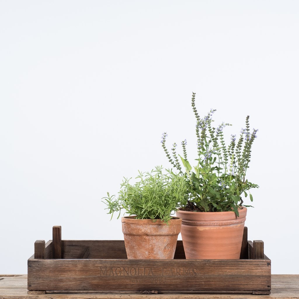 Garden Crate Tray