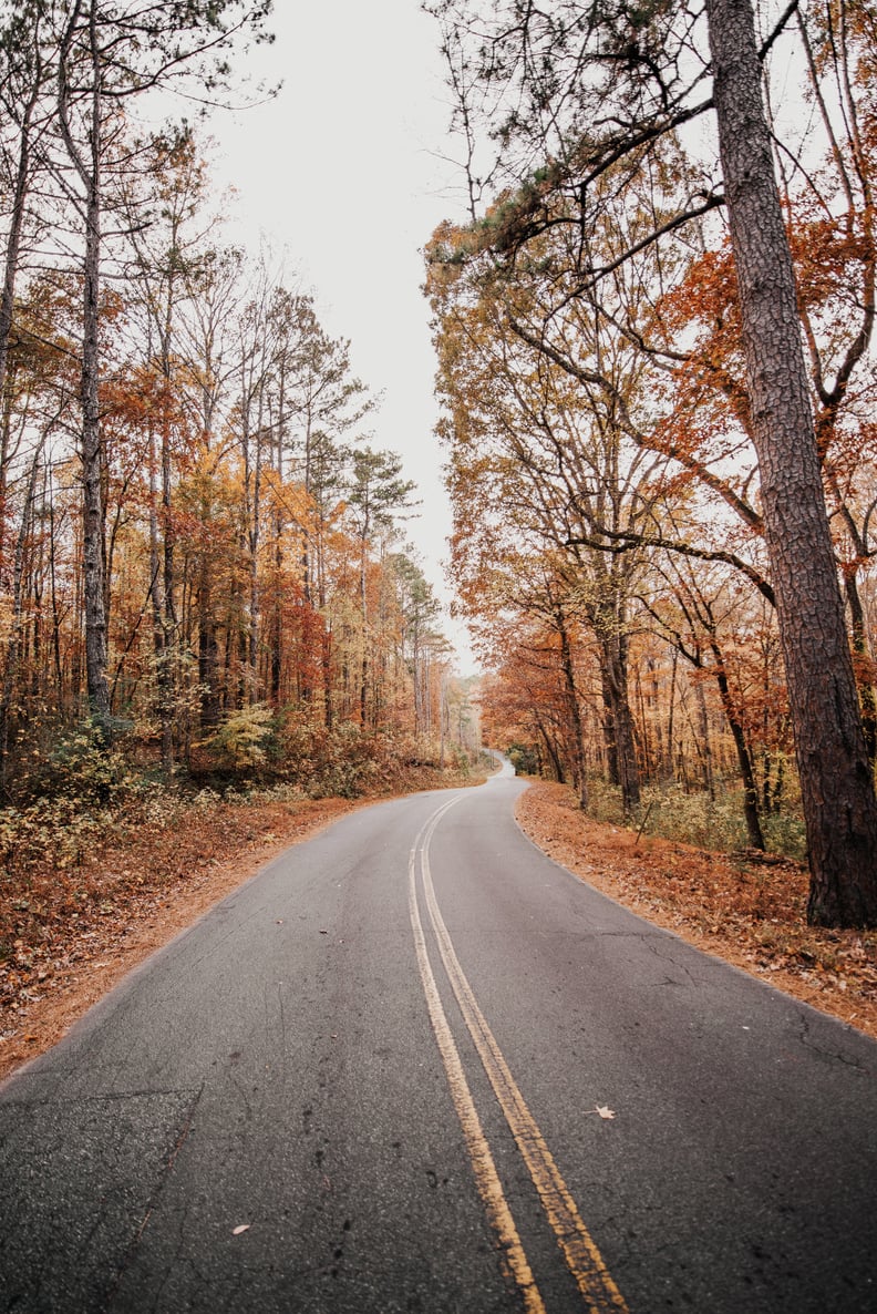 Sagittarius (Nov. 22-Dec. 21): Foliage Road Trip