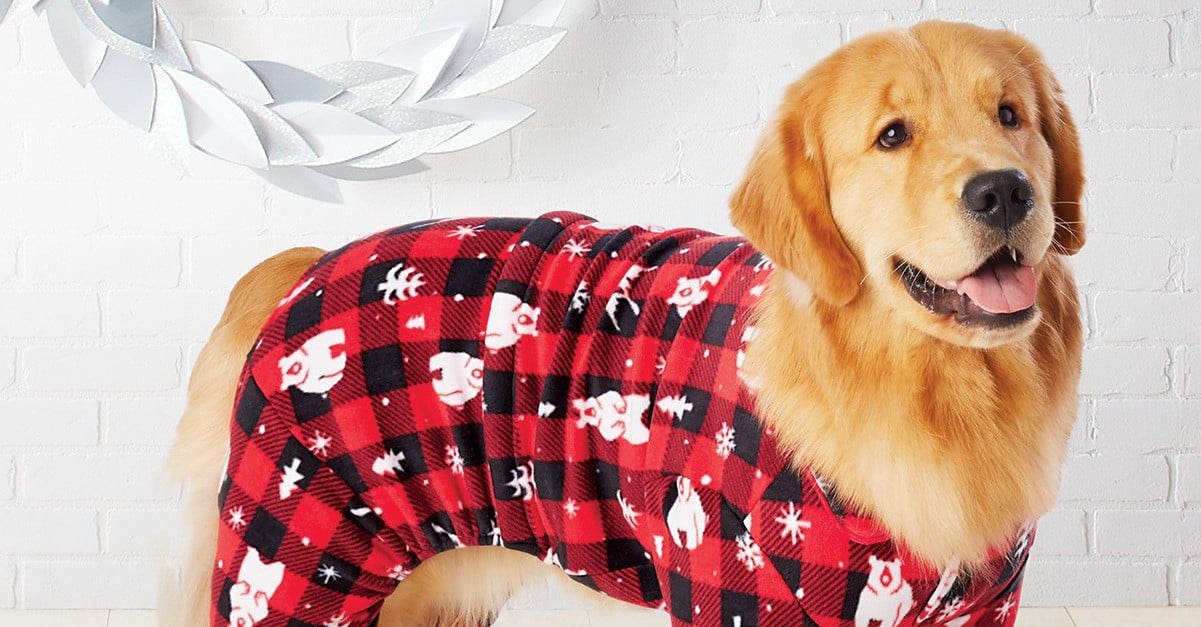 Cutest Dog Christmas Pajamas POPSUGAR Family