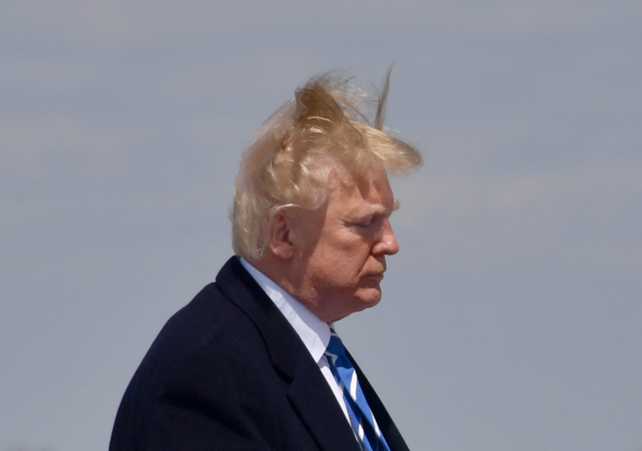 Toupee blowing deals in the wind