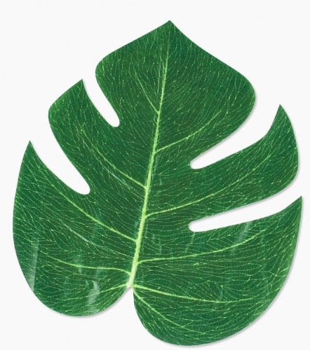 Set of 12 Tropical Leaves Decor ($5)