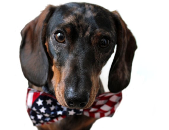 handmade flag bow-tie