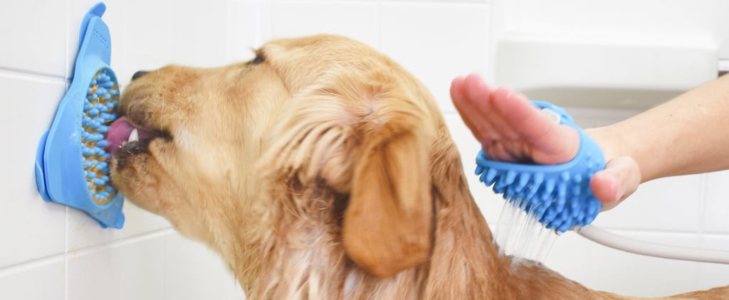 Aquapaw Slow Treater Mat For Bathing Dogs