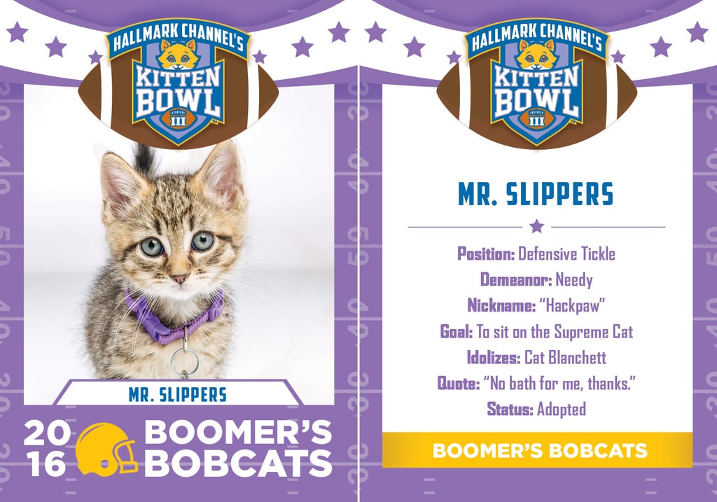 Kitten Bowl 2016