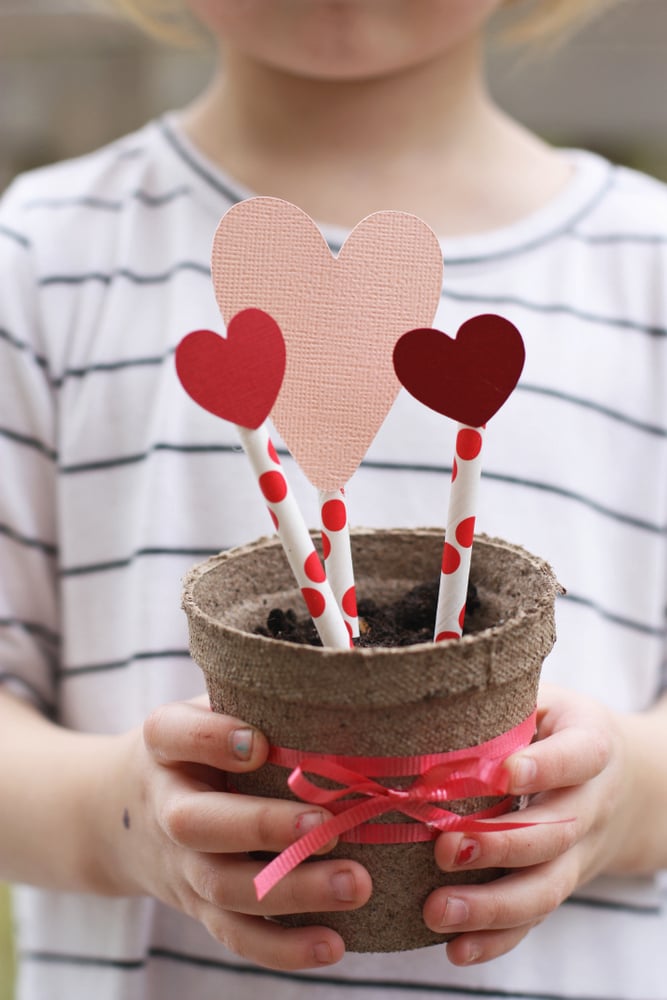 Valentine's Day Flower Pot Valentine's Day Flower Pot