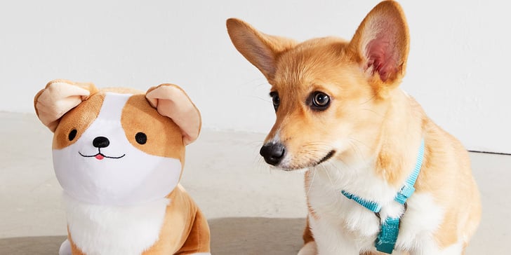 smoko corgi light amazon