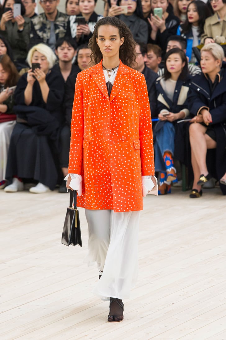 Celine Spring 2017 Collection POPSUGAR Fashion Photo 35