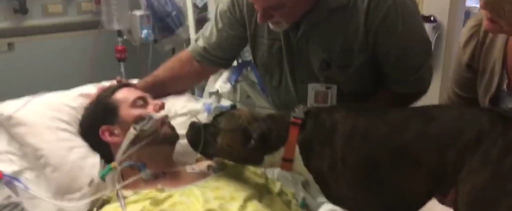 Dog Visits Dying Owner in Hospital