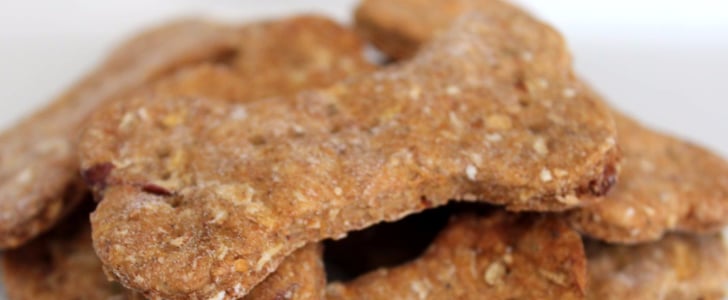 Homemade Dog Treat
