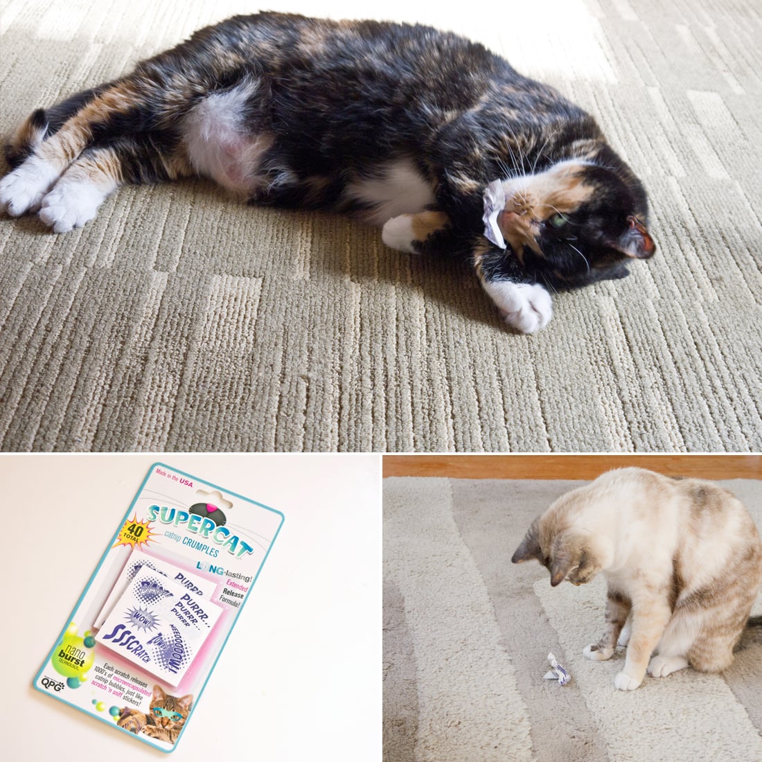 Catnip Reviews POPSUGAR Pets