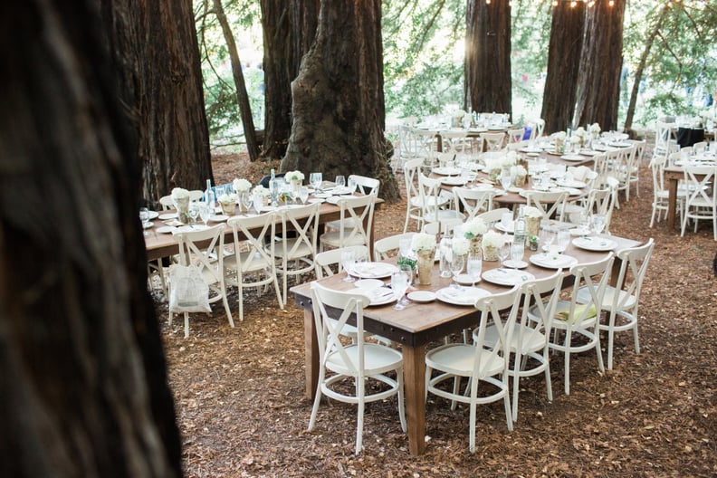 Rural Forest Reception