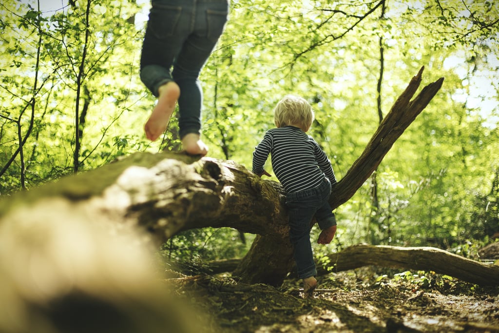 Climb a tree. Cheap Family Activities POPSUGAR UK Parenting Photo 4