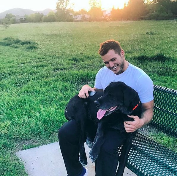 Colton Underwood and His Dog Pictures