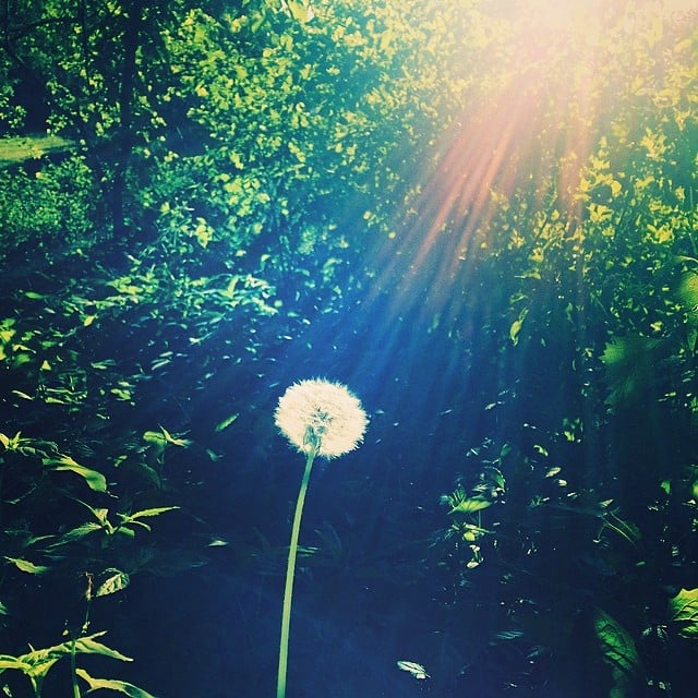 Jessica Szohr enjoyed the sun outside. 
Source: Instagram user itsmejessicaszohr