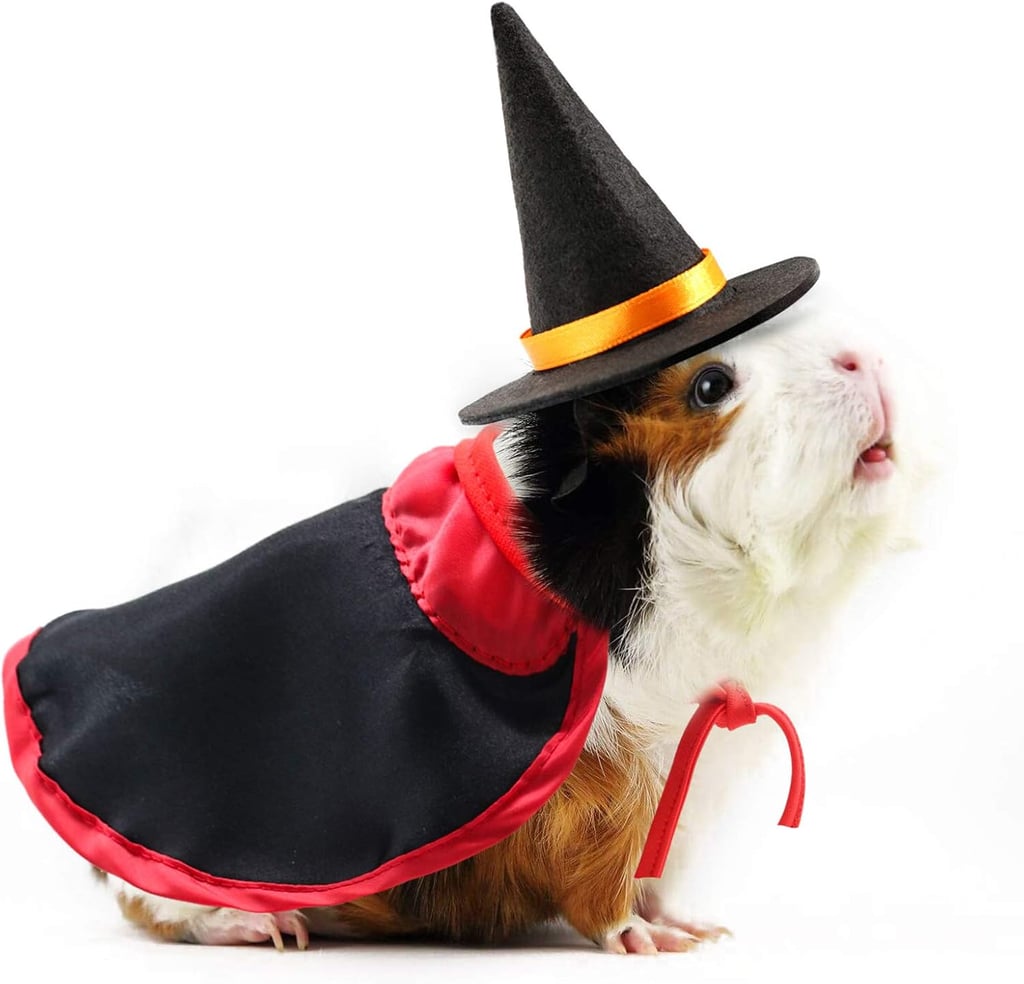Best Halloween Costume For Guinea Pigs
