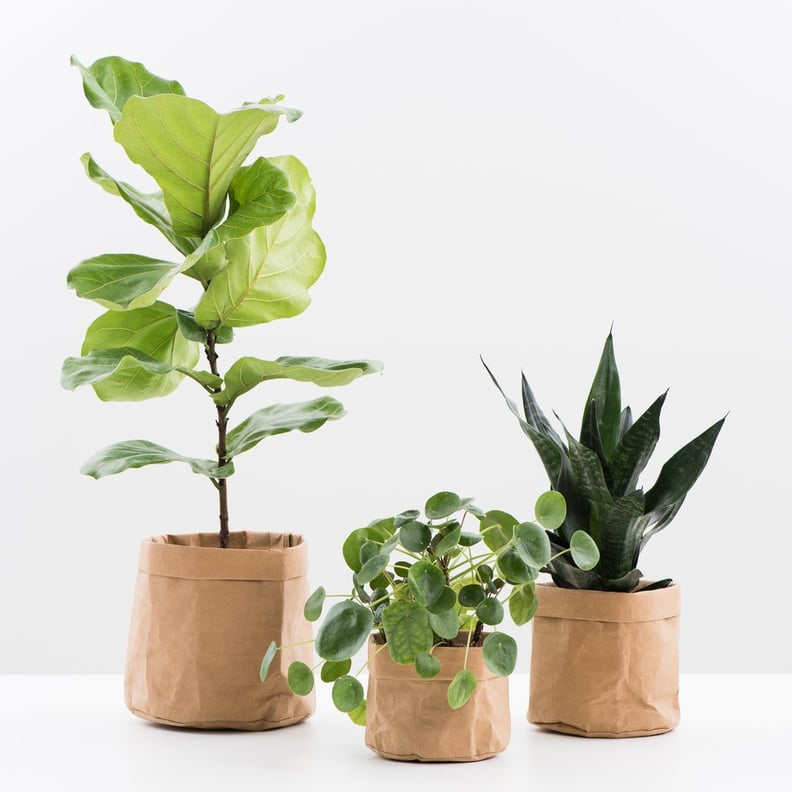 Washable Paper Pot Holder