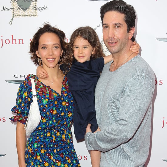 David Schwimmer on the Red Carpet With Wife and Daughter