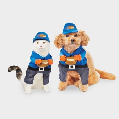 Delivery Dog and Cat Costume