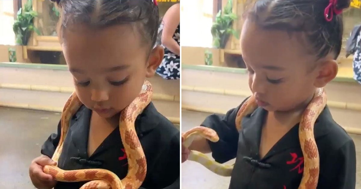 Video of Chicago West Playing With Snakes | POPSUGAR UK Parenting