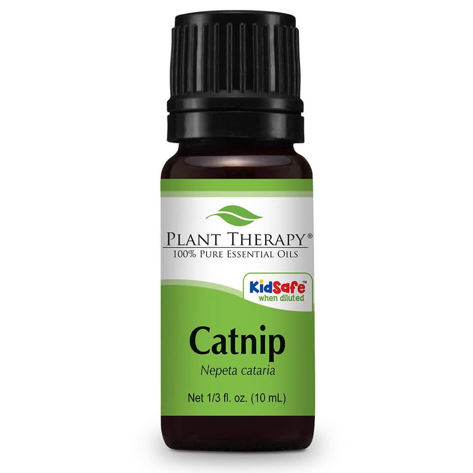 Catnip Oil Natural Remedies for Bug BItes POPSUGAR Fitness Photo 8