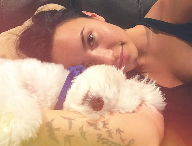 Demi Lovato's Dog Buddy Dies | Pictures