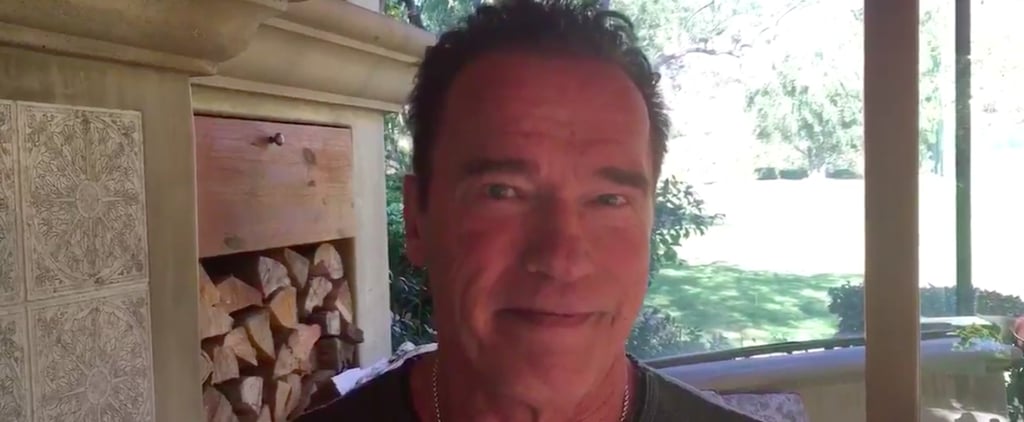 Arnold Schwarzenegger Responds to Donald Trump's Insults