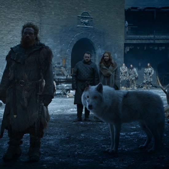 Will We Ever See Ghost Again on Game of Thrones?