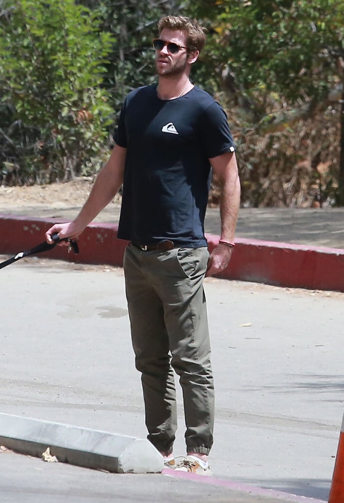 Liam Hemsworth Walking His Dog August 2015 | Pictures