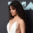 Camila Cabello's VMAs Gown Looks So Angelic, Until You See Those Cutouts
