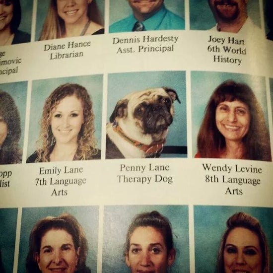 Dog Yearbook Picture